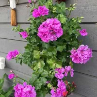 وام مهربانی