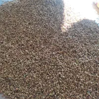 خرید و فروش انجیر ضایعات|عمده‌فروشی|استهبان, |دیوار