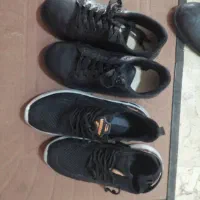 کفش|کیف، کفش، کمربند|بوشهر, |دیوار