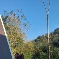 اجاره روزانه هفتگی و ماهانه کلبه ساحل گیشم|اجارهٔ کوتاه‌مدت ویلا و باغ|رشت, گلسار|دیوار