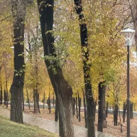 کارگر ساده و استاد کار ام دی اف