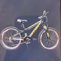 دوچرخه درحد نو ویوا