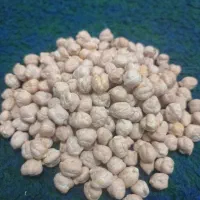 نخود بهاره، سایز درشت