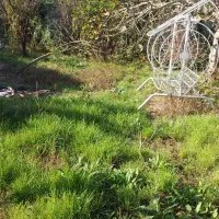 ویلاباغ۵۷۰متر،سندتکبرگ جواز ساخت پایان کار،۴۰متربر|فروش خانه و ویلا|فریدون‌کنار, |دیوار