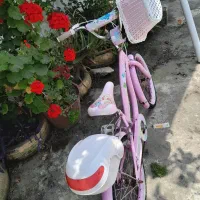 دوچرخه دخترانه|دوچرخه، اسکیت، اسکوتر|بندر انزلی, میان پشته|دیوار