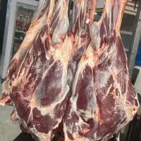 عرضه گوشت گوساله و گوسفندی