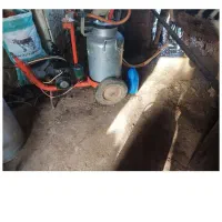 شیر دوش کاوه