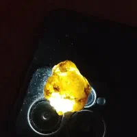 سنگ های زینتی|کلکسیون اشیاء عتیقه|تهران, باغ خزانه|دیوار