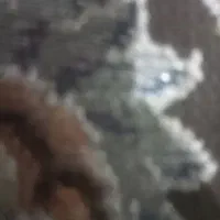 ۲۰۰ عدد جیمیل قدیمی