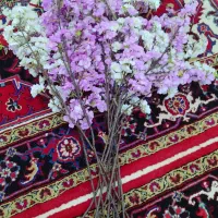 گل مصنوعی|گل مصنوعی|مشهد, فلسطین|دیوار