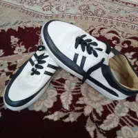 کفش|کیف، کفش، کمربند|شیراز, پودنک|دیوار