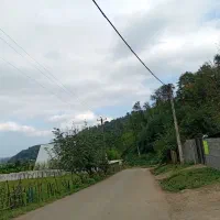 اجاره ویلا دوخوابه امشب آماده رزو در دل طبیعت|اجارهٔ کوتاه‌مدت ویلا و باغ|ماسال, |دیوار