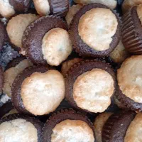 انواع کیک و شیرینی