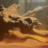 ماسه آکواریوم شسته شده