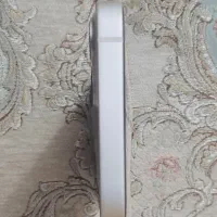 iPhone13|موبایل|قم, چهل درخت‎|دیوار