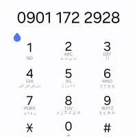 0901 172 2928