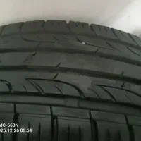 لاستیک 60% گلدستون