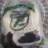 پوتین کویری مرزبانی
