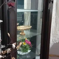 ویترین  بوفه