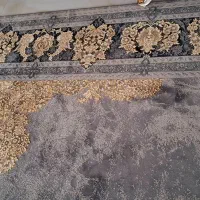 فرش نو درحداک 12متری طلاکوپ