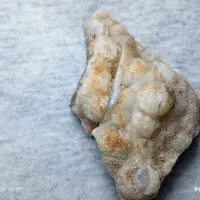 سنگ شجر زیبا|بدلیجات|کرمان, |دیوار