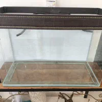 آکواریوم شیشه خم با تمام امکانات