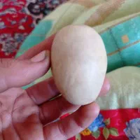 سنگی که مثل چراغ روشن می‌باشد