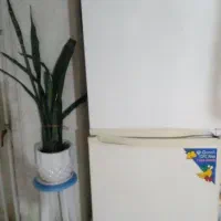 یخچال وفریزر|یخچال و فریزر|لاهیجان, یحی آباد|دیوار