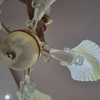 ۳تالوستر یک عدد ۵ شاخه ۲تا سه شاخه نو وسالم