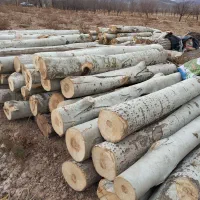 خریدوفروش چوب