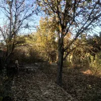 باغ قاسم اباد ۵۶۰ متر ۷۰ متر زیر بنا|فروش خانه و ویلا|هشتگرد, ایقربلاغ|دیوار