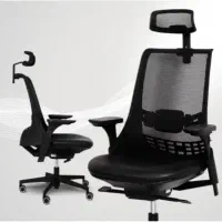 لیو صندلی مدیریت طبی