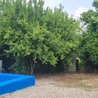 برگزارکننده مهمانی و مراسم