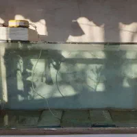 آکواریوم بزرگ