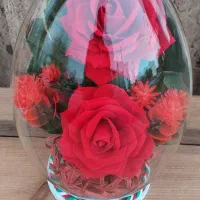 * فلاکسی تخم مرغی کوچک * ارسال به سراسر ایران *