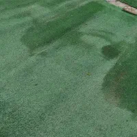 چمن مصنوعی|مصالح و تجهیزات ساختمان|مسجد سلیمان, |دیوار