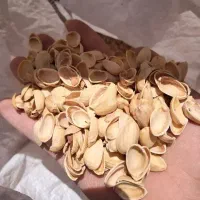 خرید پوست پسته
