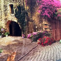 تابلو فرش بسیار زیبا و خوشرنگ|تابلو فرش|تنکابن, |دیوار