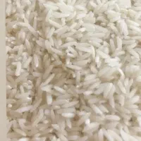 برنج طارم هاشمی گیلان درجه یک خالص 23کیلو