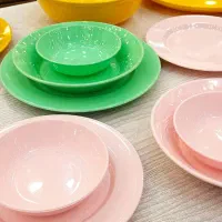 سرویس غذا خوری رنگی (نشکن)