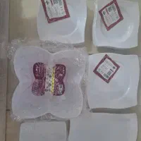 ظرف مسافرتی