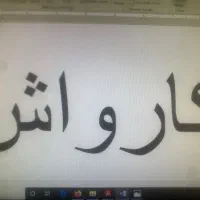 نیروی کارواش