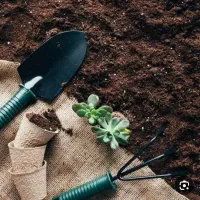 نیرو آقا خدماتی