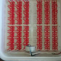 فروش دستگاه جوجه کشی تمام اتوماتیک|لوازم جانبی حیوانات|جهرم, |دیوار