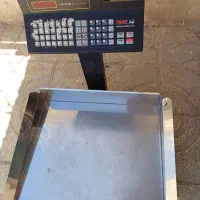 ترازوی پند دیجیتالی پرینتردار