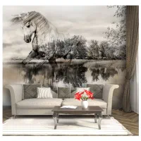 نصب/ نصاب کاغذ. فروش ویژه کاغذ دیواری و نقاشی