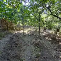 زمین فروشی|فروش زمین و ملک کلنگی|کهک, |دیوار