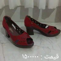 کیف وکفش|کیف، کفش، کمربند|کرج, بنیاد|دیوار