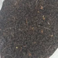 گردو وکشمش|حراج|امام, |دیوار