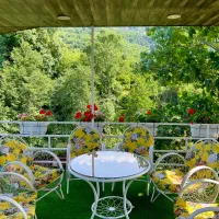 ویلای جنگلی اختصاصی